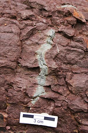 Root mudrock