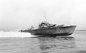 Royal Navy MTB 5