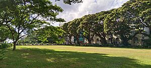 SU Treeline West Quad Portal Buildings