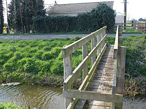 Sheep proof footbridge - geograph.org.uk - 384673