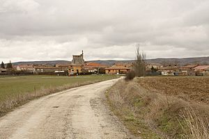 View of Sotragero, 2010