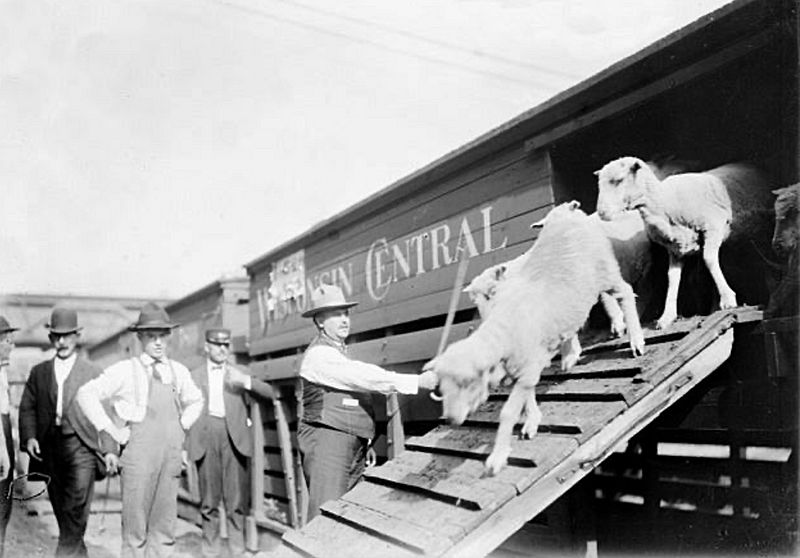 Stock car, Chicago, 1904