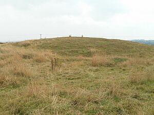 Swarkestone Lows Barrow