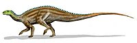 Tenontosaurus BW