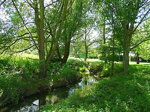 The Emm Brook - geograph.org.uk - 855753