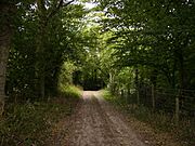 The Mortimer Trail near Lucton - geograph.org.uk - 219819