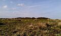 Tumulus on Withypool Hill, Devon
