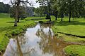 Turtle Creek looking downstream