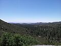 View of Cleveland National Forest from Mount Laguna