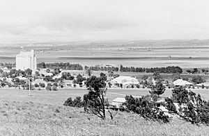 View of Robertstown, South Australia, 1950s (SLSA B 46598)
