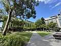 Wallace Wurth Building and Michael Birt Lawn