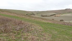 Warren Down
