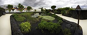 2008-12-16 Lanzarote FundacionCesarManrique