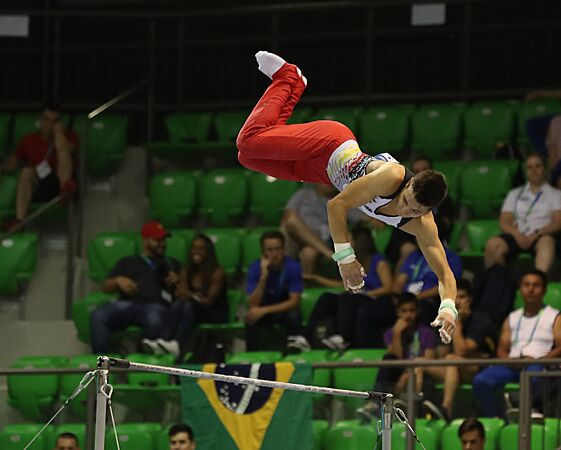 2019-06-27 1st FIG Artistic Gymnastics JWCH Men's All-around competition Subdivision 4 Horizontal bar (Martin Rulsch) 226