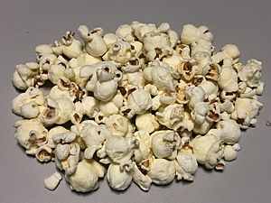 2020-07-19 12 21 43 A sample of Smartfood White Cheddar Popcorn in the Dulles section of Sterling, Loudoun County, Virginia.jpg
