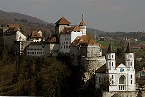 Aarburg-Burg-02