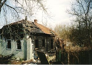 Abandoned village near Chernobyl
