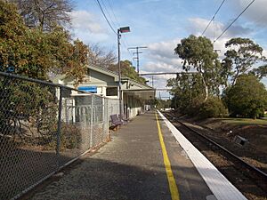 Alamein station 2008