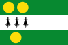 Flag of Anthisnes