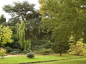 Arboretum Trompenburg Nl 2