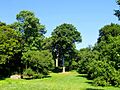 Arnold Arboretum - Aug 2005 (a)