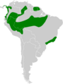 Atticora tibialis map