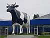 Big Cow at Morrinsville.jpg