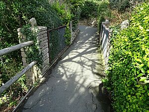 Blackgang Chine musical bridge