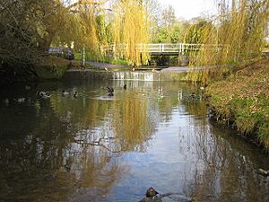 Braughing, Maltings Lane ford - geograph.org.uk - 621079