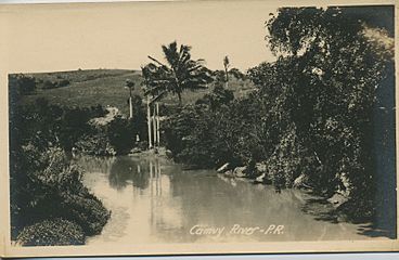 Camuy River, Puerto Rico circa 1900-1917