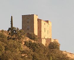 Castell de Besora
