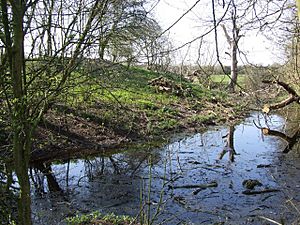 Castle Hill, Motte and Bailey - geograph.org.uk - 384115.jpg