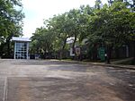 Asphalted courtyard with a garden with several trees and surrounded by a building with several glass windows