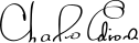 Charles Edison Signature
