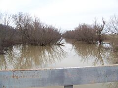 Cinque Hommes Creek, Menfro, Missouri