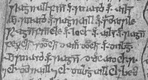 Clann Ruaidhri (National Library of Scotland Advocates' MS 72.1.1, folio 1v) 1