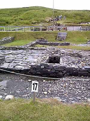 Colony of Avalon August 2012 01