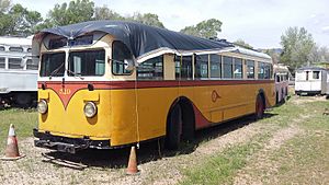 DTC Electric Trolley Bus No. 519 3 20160521