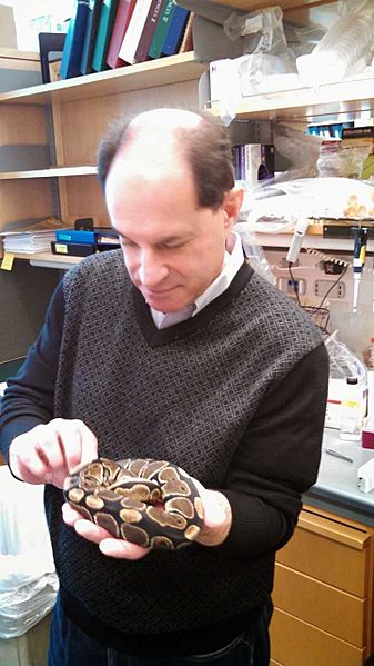 Davidjuliuswithsnake