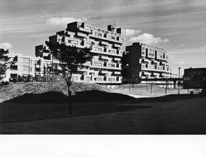 Dawsons Heights 1973 viewed from Overhill Rd. Photographer Robert Kirkman FSAI 03