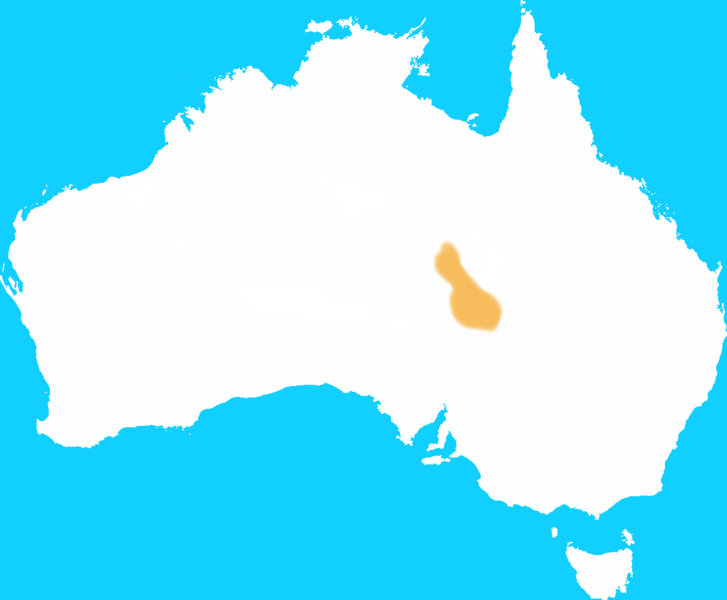 Desert Rat Kangaroo Distribution Map