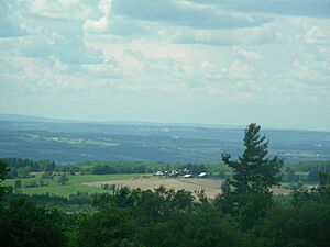 Finger Lakes National Forest