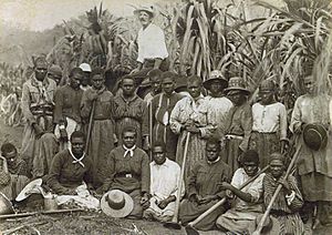 Groupe de Kanakas dans une exploitation de canne à sucre du Queensland
