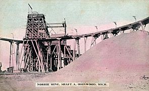 Ironwood-Norrie-1910