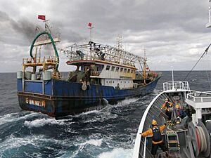 Japanese fisheries patrol boat and Chinese Illegal fishing boat