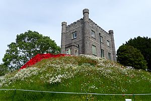 Keep at Abergavenny Castle