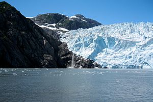 Kenai Fjords - Aialik Glacier
