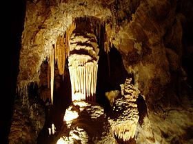 Large stalagmite with straws.jpg