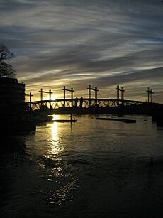 LimerickSunsetPotatoMarket