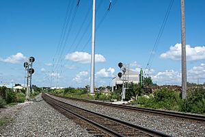 Looking N - Cleveland and Pittsburgh Railroad Tracks - Jones Road